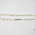 601 3628 Pärlcollier